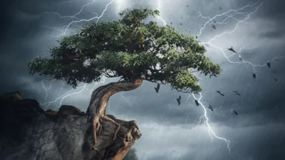 Illustration endurance - Image 1