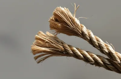 Illustration fray - Image 1