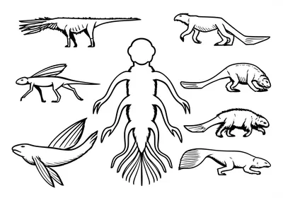 Illustration groundplans - Image 1