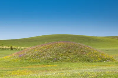 Illustration swells - Image 1