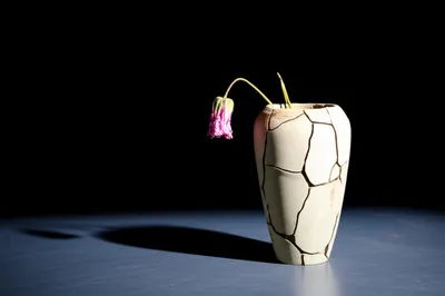 Illustration unflattering