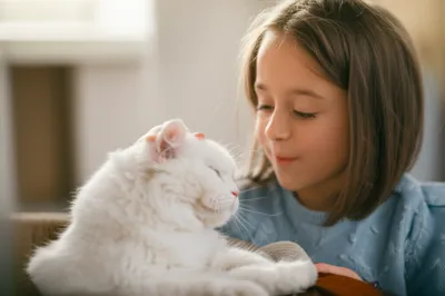 Illustration fussing - Image 1