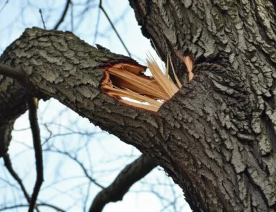 Illustration scrawl - Image 1