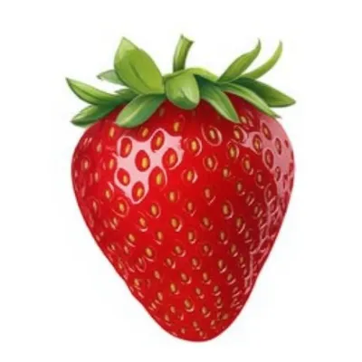 Illustration fraises - Image 1