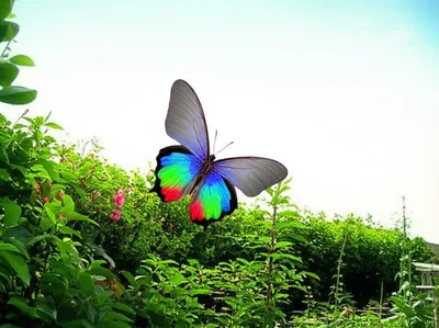 Illustration dying - Image 1