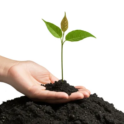 Illustration strength - Image 1