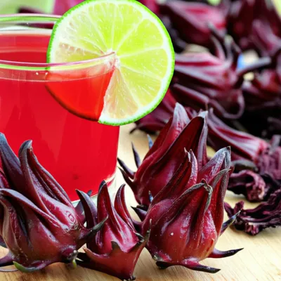 Illustration rosella - Image 1