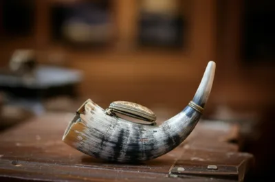 Illustration mull - Image 1