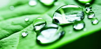 Illustration sweet - Image 1