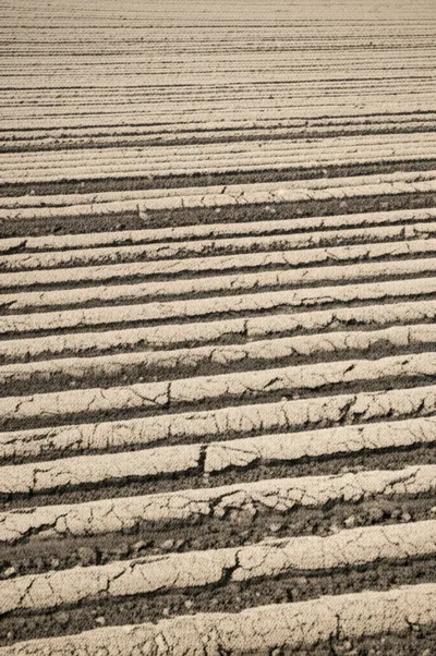 Illustration land - Image 1