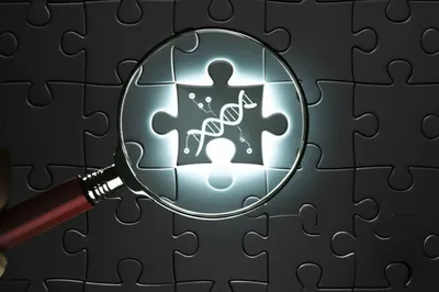 Illustration researches - Image 1