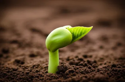 Illustration outset - Image 1