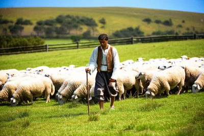 Illustration pastors - Image 1