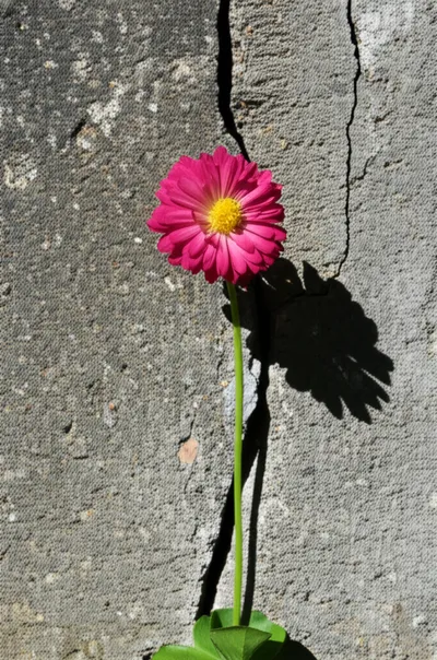 Illustration tanks - Image 1