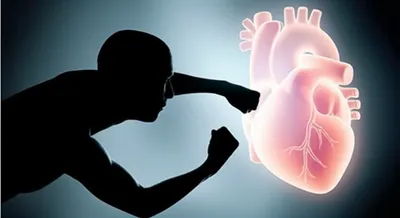 Illustration attack - Image 1