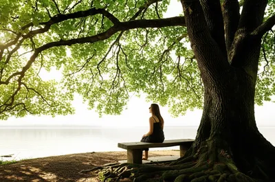 Illustration stay - Image 1