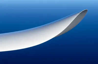 Illustration camber - Image 1