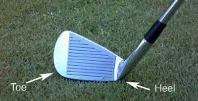 Illustration toe - Image 3