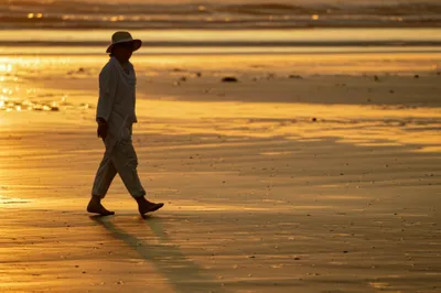 Illustration sauntered