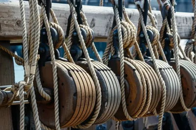 Illustration racks - Image 1