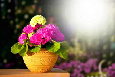 Illustration showcase - Image 1