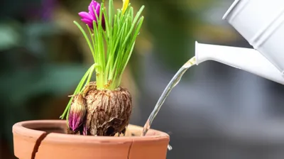 Illustration relived - Image 1