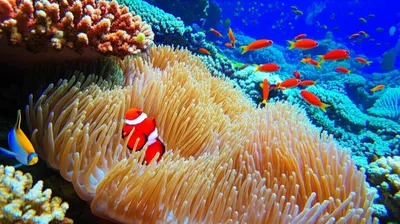 Illustration symbiote