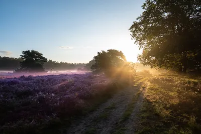 Illustration earths - Image 2