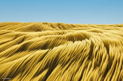 Illustration waving - Image 1