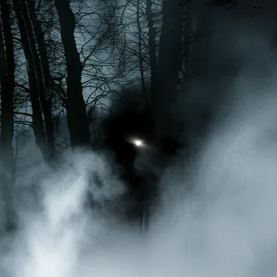 Illustration occults - Image 1