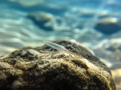 Illustration set - Image 1