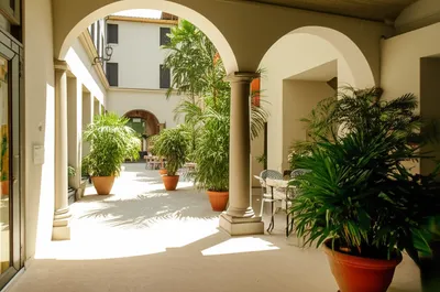 Illustration courtyards