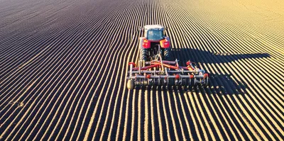 Illustration bouts - Image 1