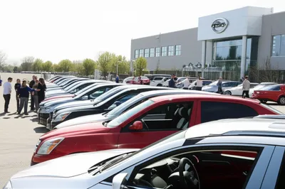 Illustration dealership