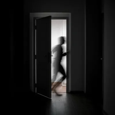 Illustration skiddooed - Image 1