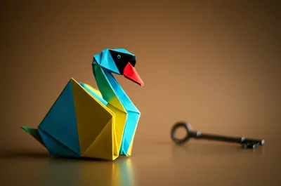 Illustration decoy - Image 1