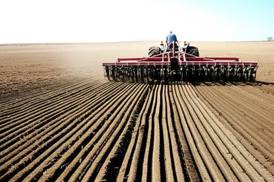 Illustration list - Image 1