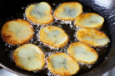 Illustration scallop - Image 1