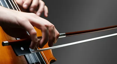 Illustration articulation - Image 1