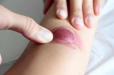 Illustration wolves - Image 1