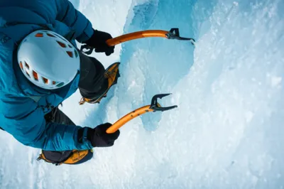 Illustration claw - Image 1