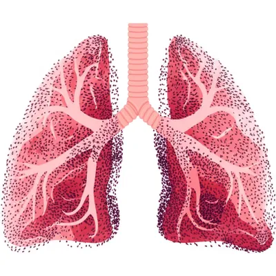 Illustration gallop - Image 1