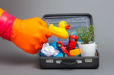 Illustration jams - Image 1