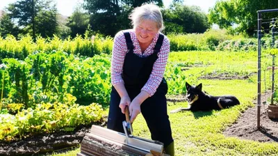 Illustration rude - Image 1