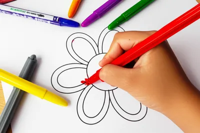 Illustration colouring - Image 1