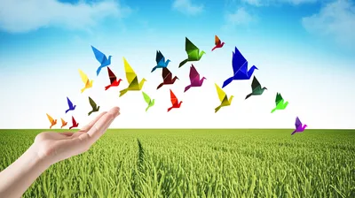 Illustration releasing - Image 1