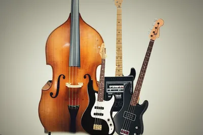 Illustration base - Image 1