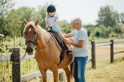 Illustration mounts - Image 1