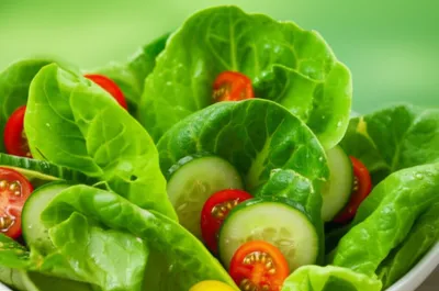 Illustration lettuces - Image 1