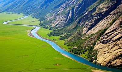 Illustration enjambement